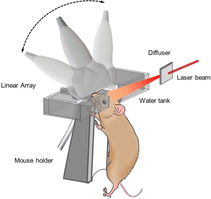 Fig. 1