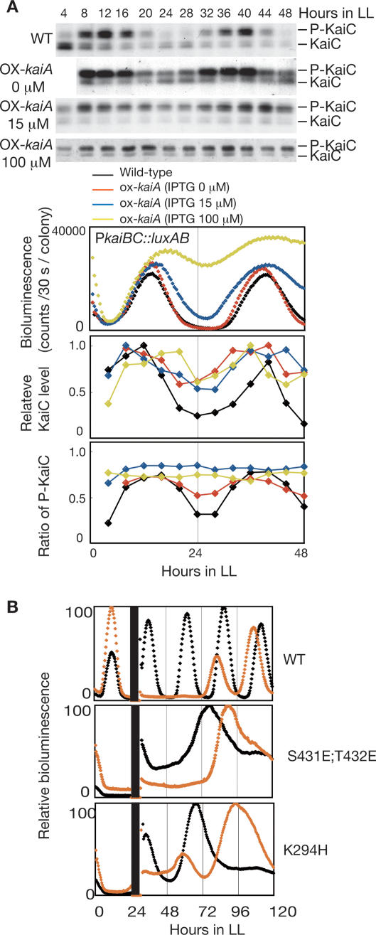 Figure 5.