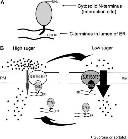 Figure 11.