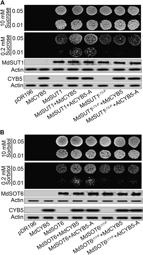 Figure 10.