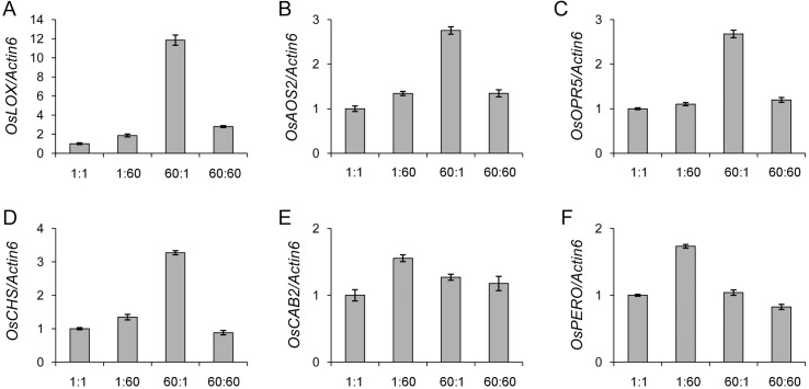 Fig 4