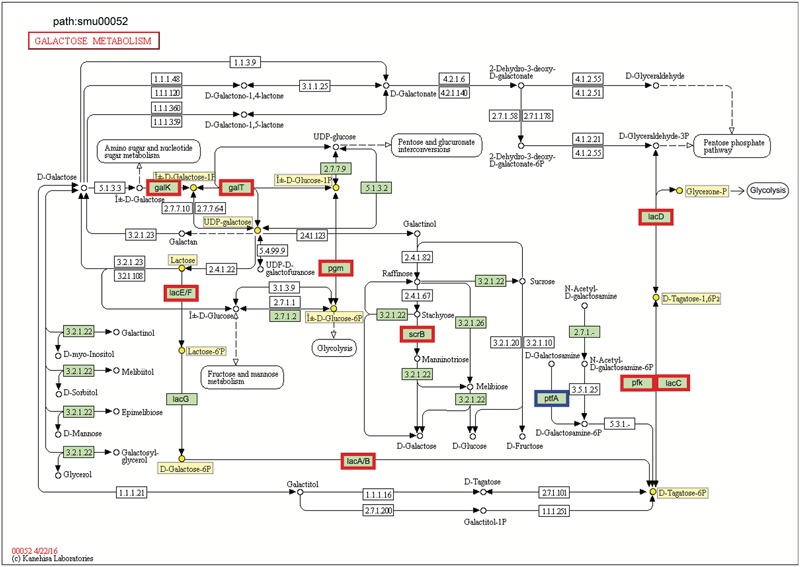 FIGURE 4