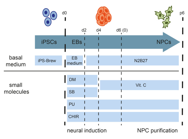 graphic file with name BioProtoc-11-05-3939-ga001.jpg