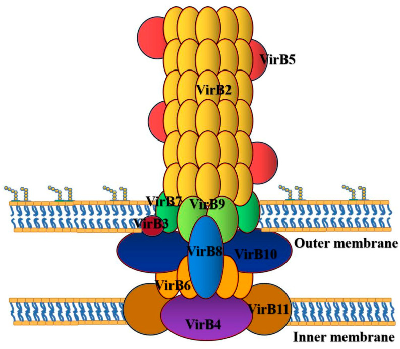 Figure 2