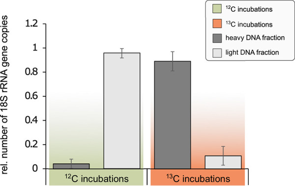 FIG 6