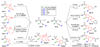 Scheme 2