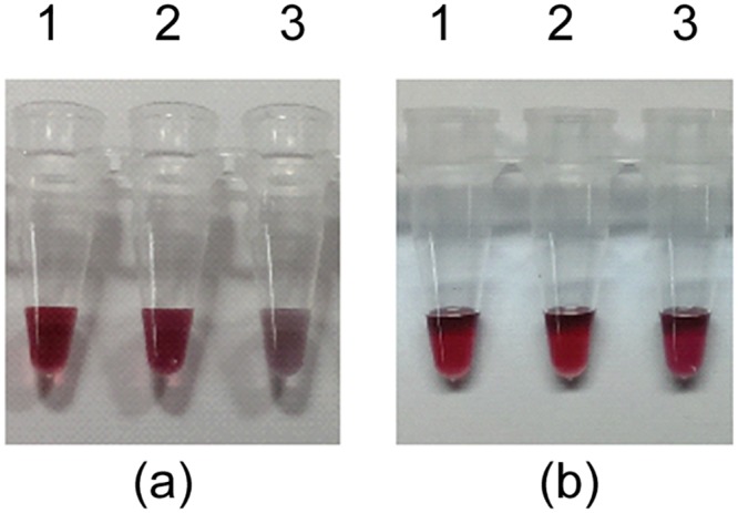 Fig 5