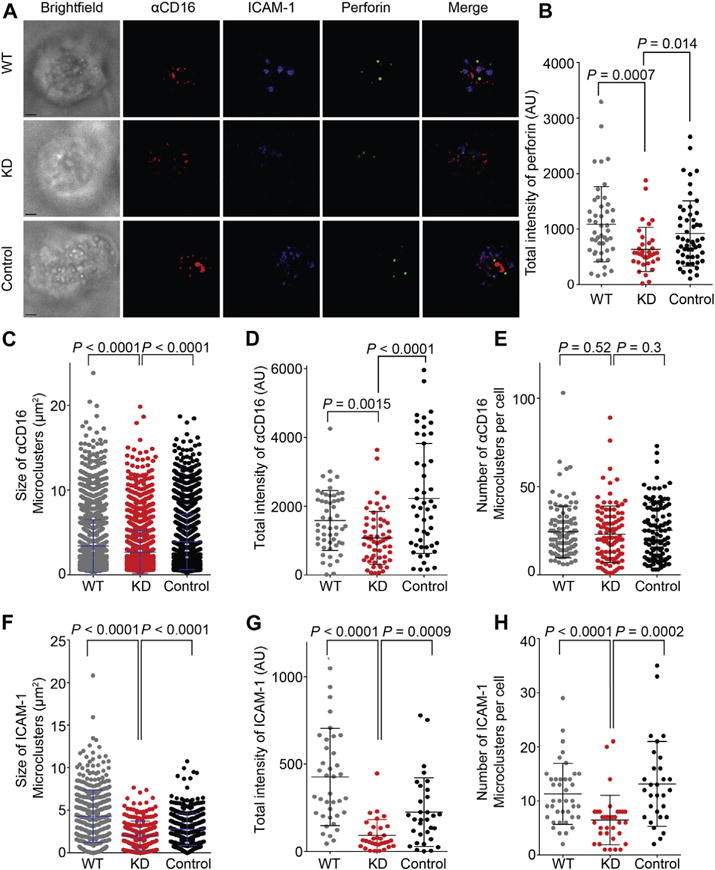 FIG 2