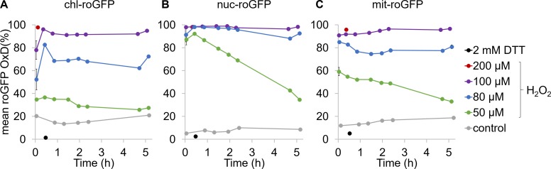 Figure 2—figure supplement 1.