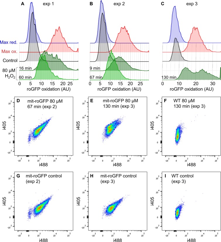 Figure 2—figure supplement 4.