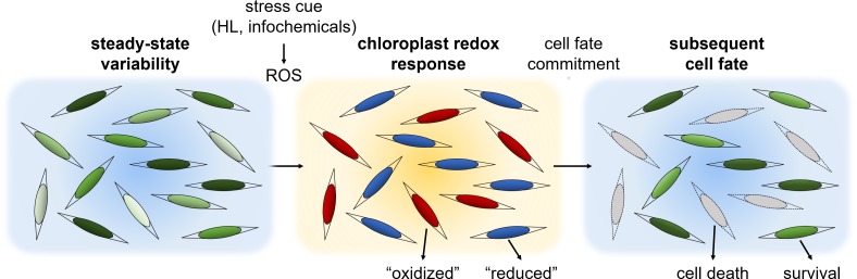 Figure 9.