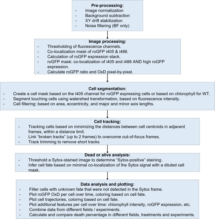 Figure 4—figure supplement 4.