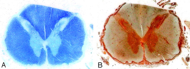 Fig 6.