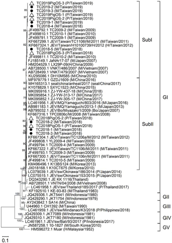 Fig 3