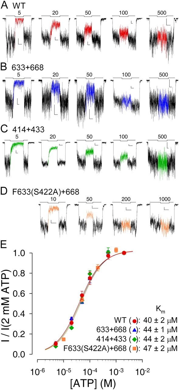 Figure 3. 