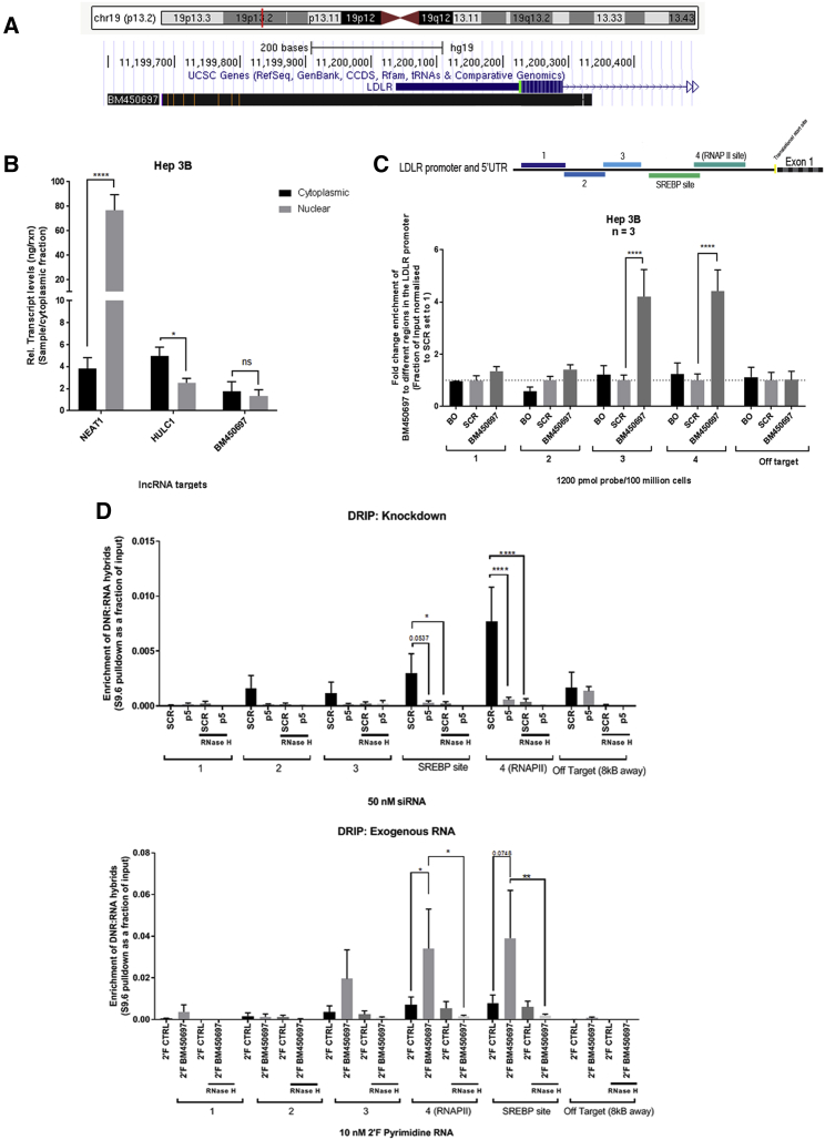 Figure 1