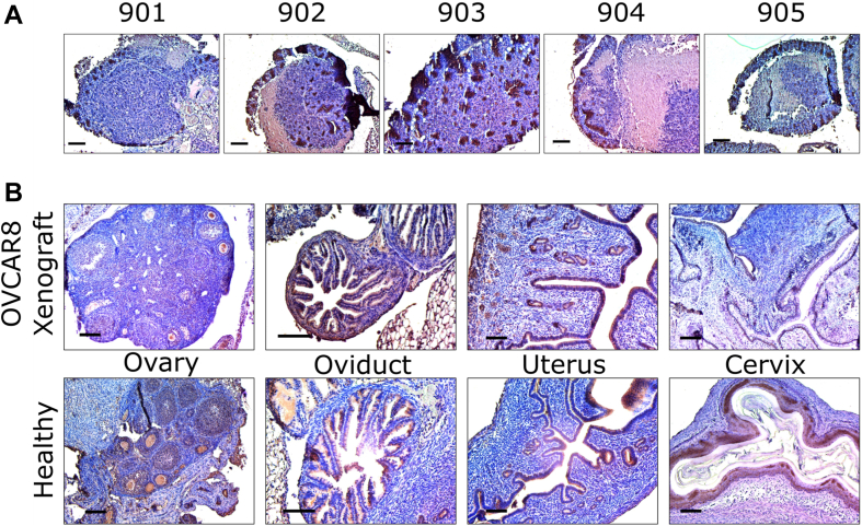 Figure 3