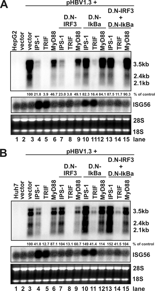 FIG. 8.