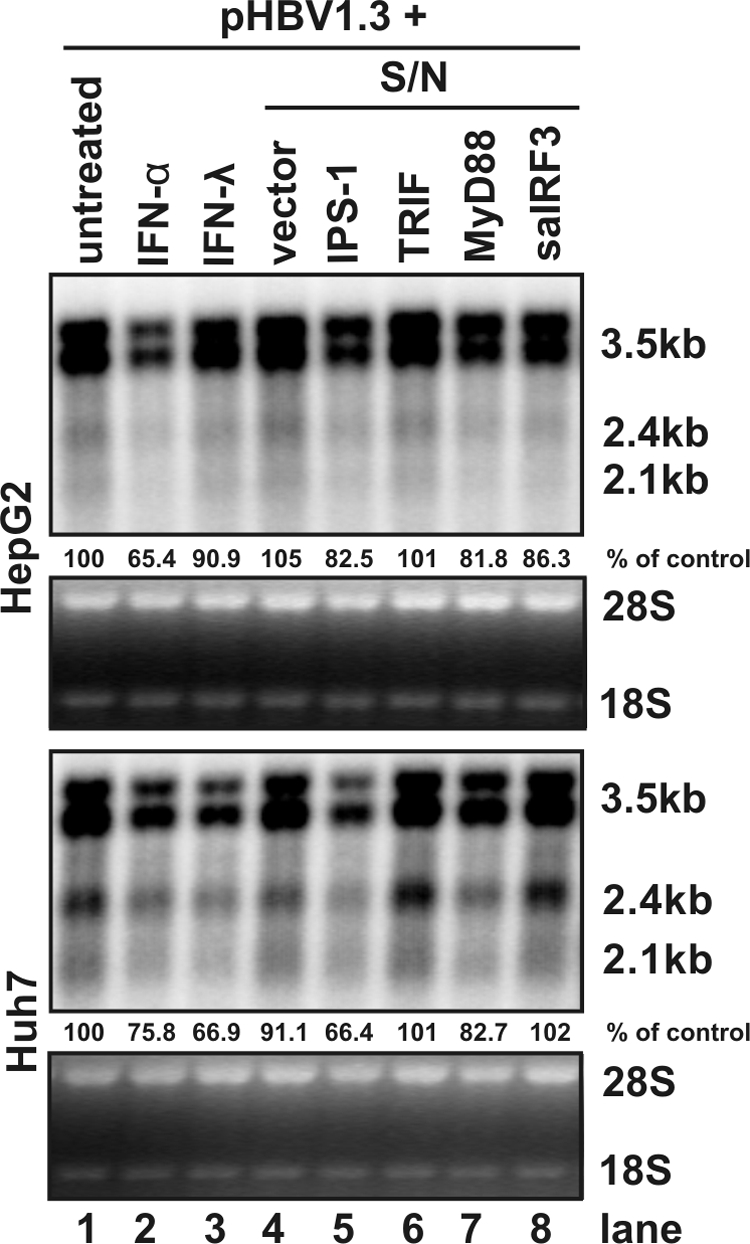 FIG. 5.