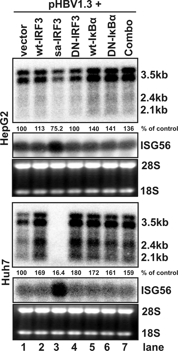 FIG. 7.