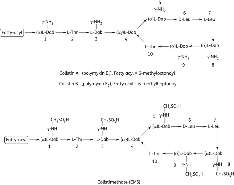 Figure 1.