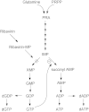 Fig. 12