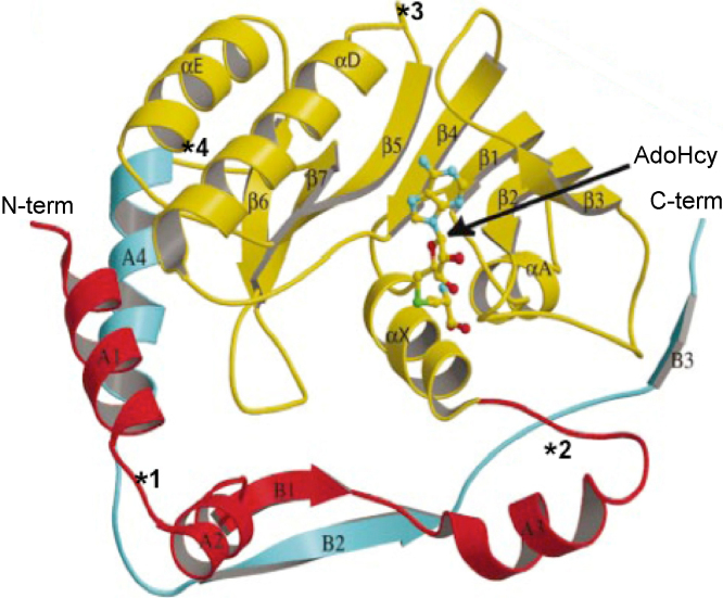 Fig. 8