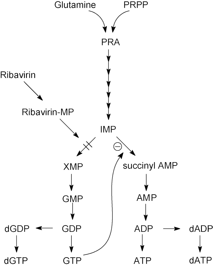 Fig. 12