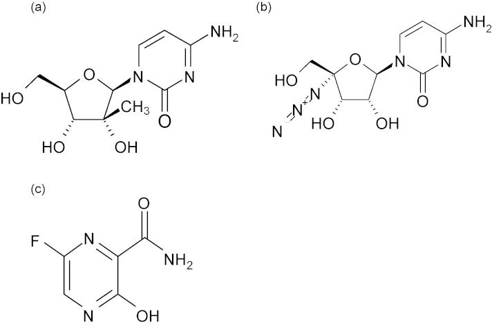 Fig. 13