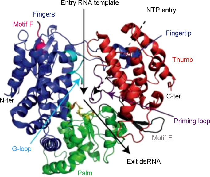 Fig. 10