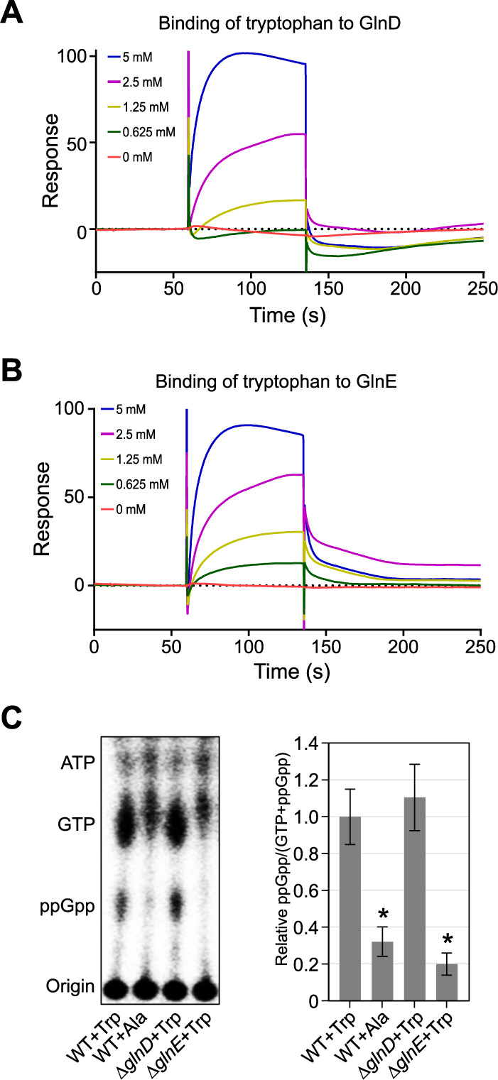 FIG 5