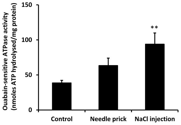 Fig. 9