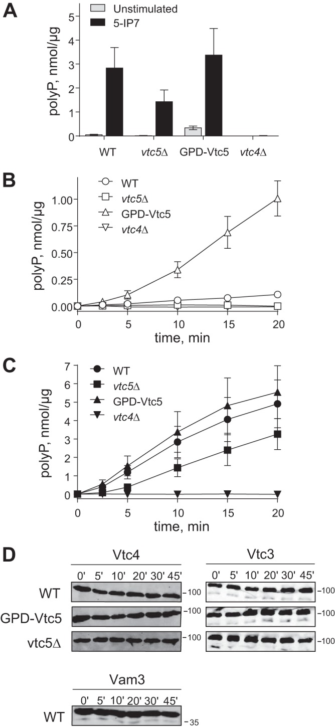 FIGURE 5.