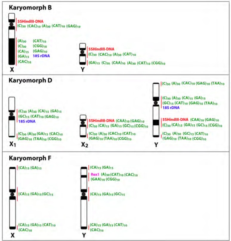 Fig. (8)