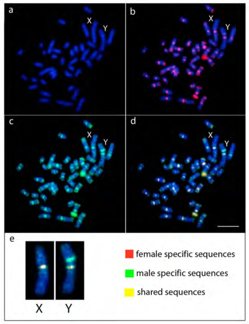 Fig. (6)