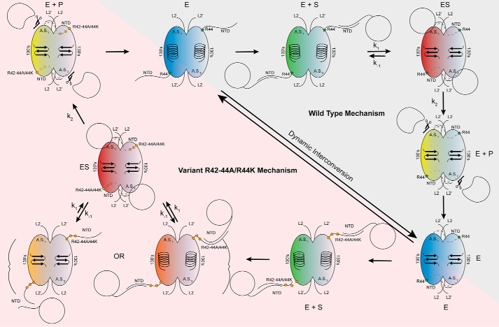 Figure 10.