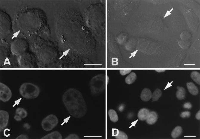 FIG. 8