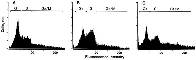 FIG. 7