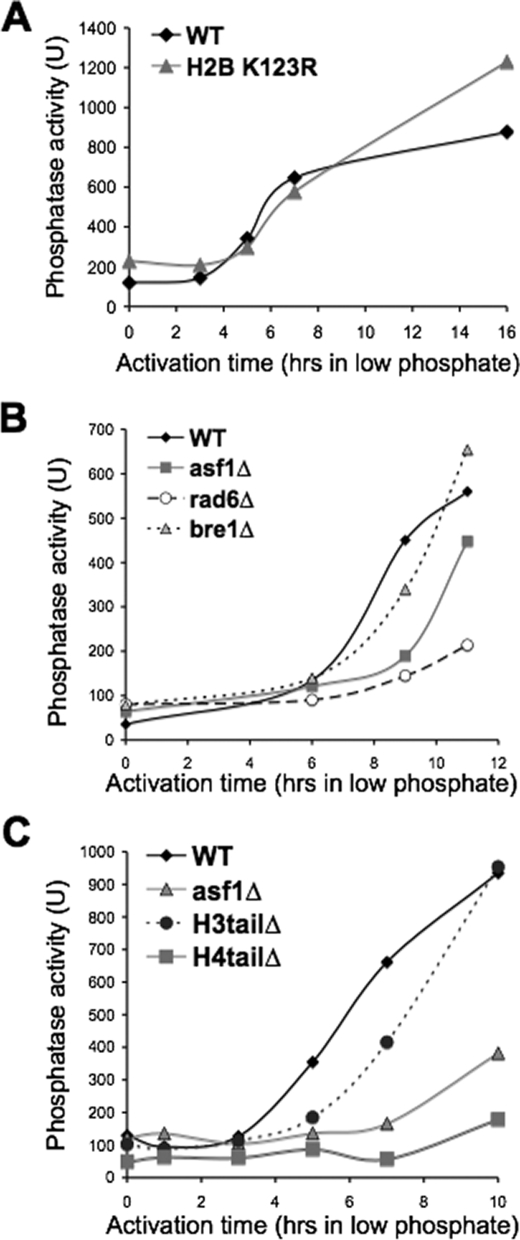 FIGURE 4.