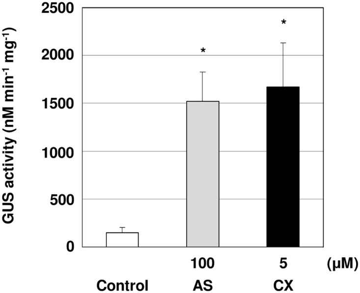 Fig 5