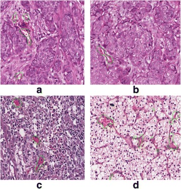 Fig. 7