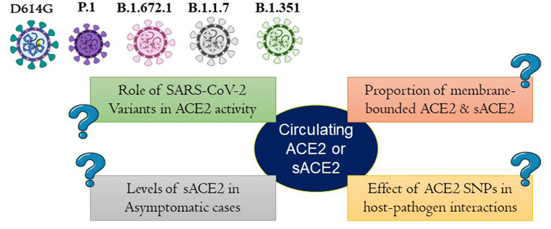 Fig. 6