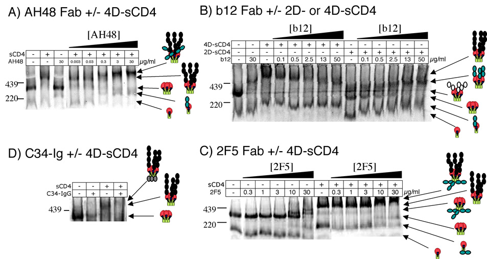 Fig. 4