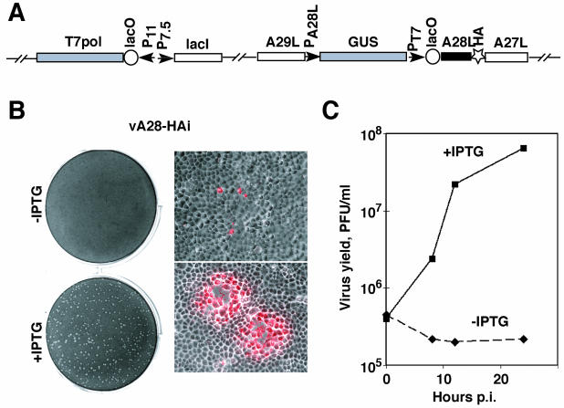 FIG. 6.