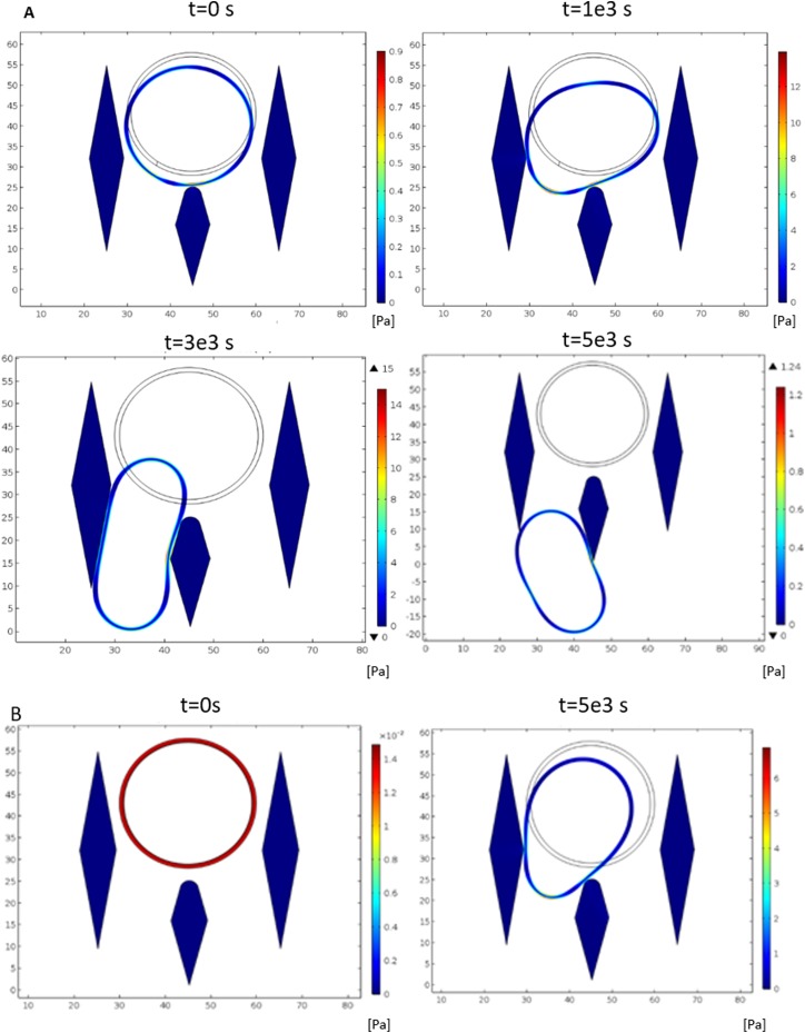 FIG. 2.