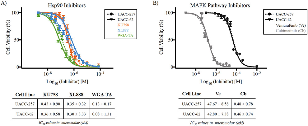 Figure 1 –