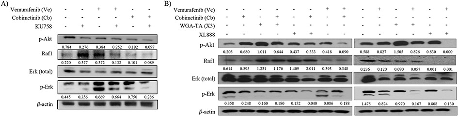 Figure 3 –