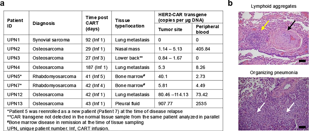 Extended Data Figure 4: