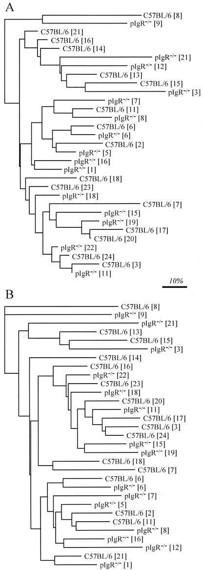 FIG. 5.