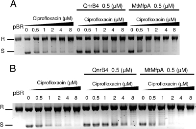 FIG. 7.